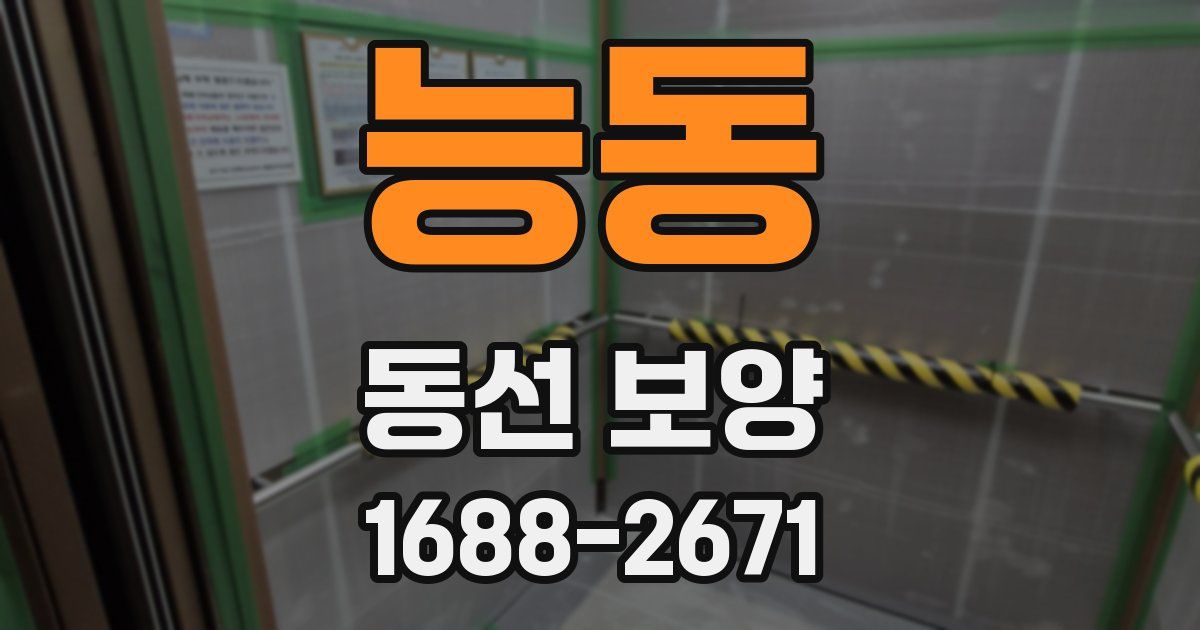 능동 동선 보양