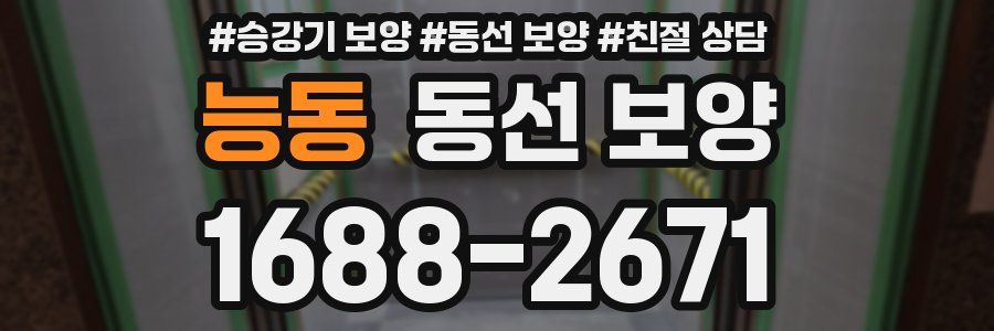 능동 동선 보양