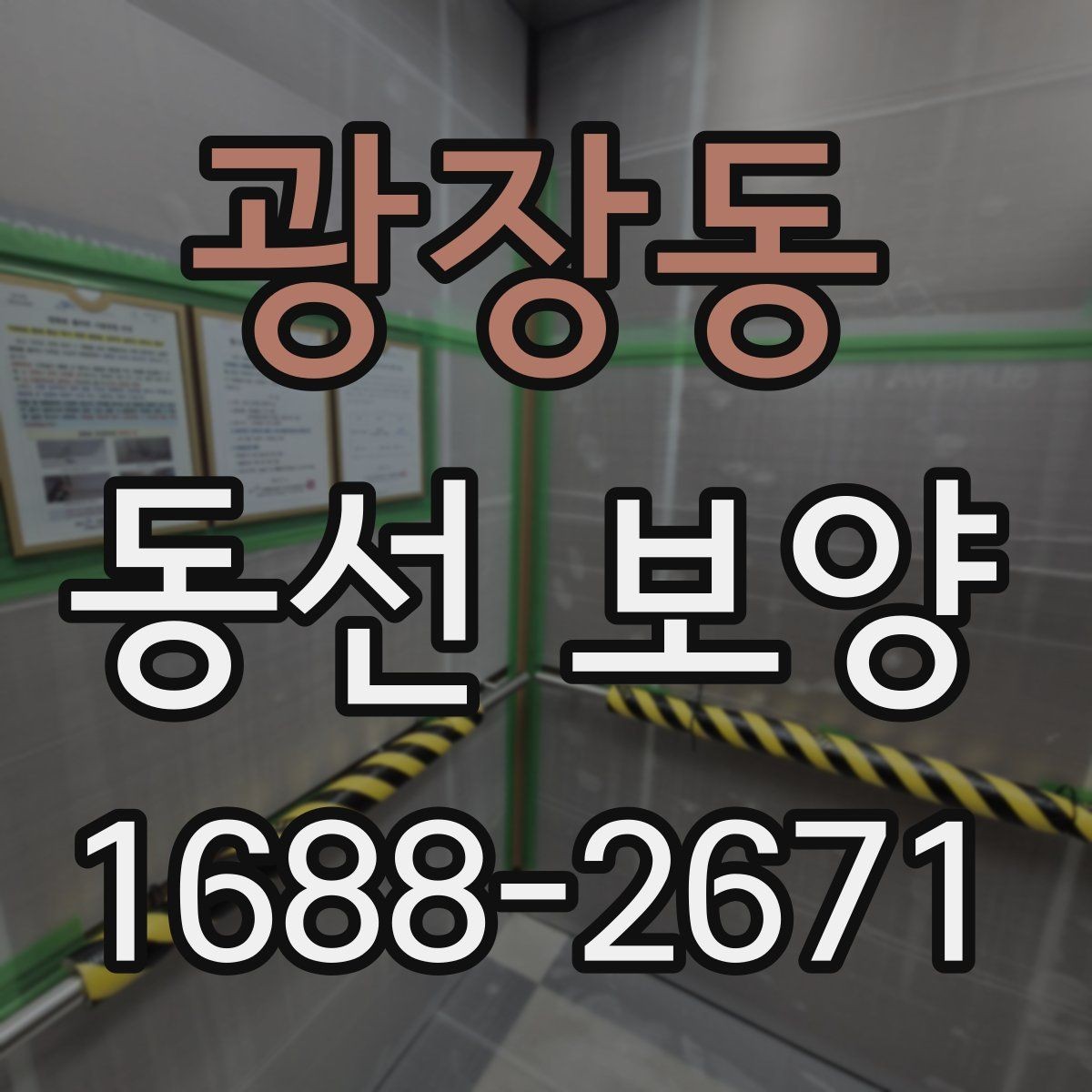 광장동 동선 보양 범위와 업무 흐름 알아보기