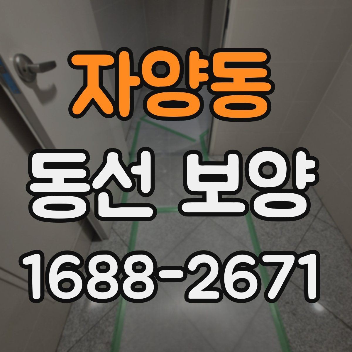 자양동 동선 보양 비용과 품질의 균형 잡기