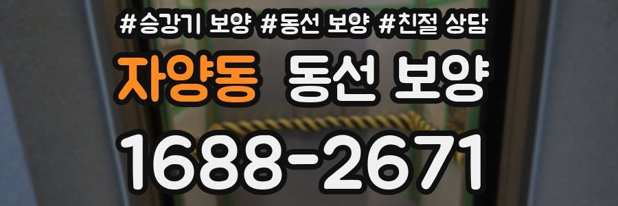 자양동 동선 보양