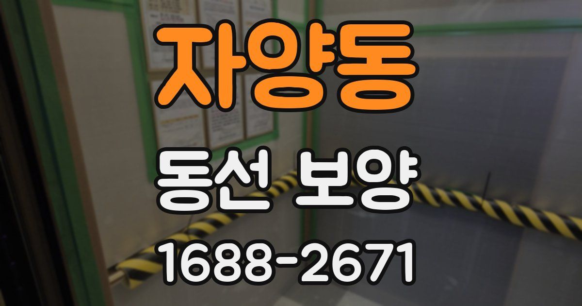 자양동 동선 보양