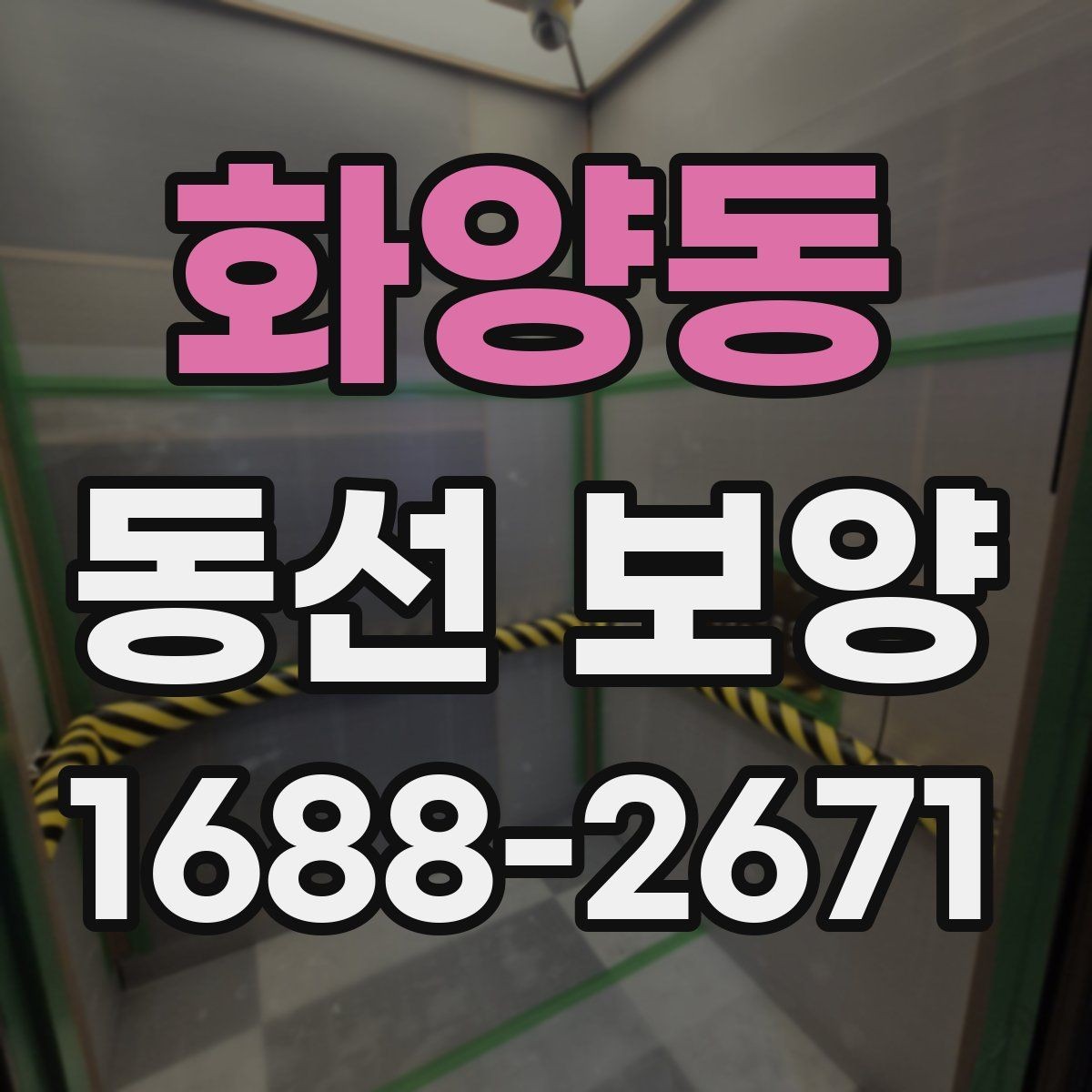 화양동 동선 보양 적용 범위를 정하는 실무 기준