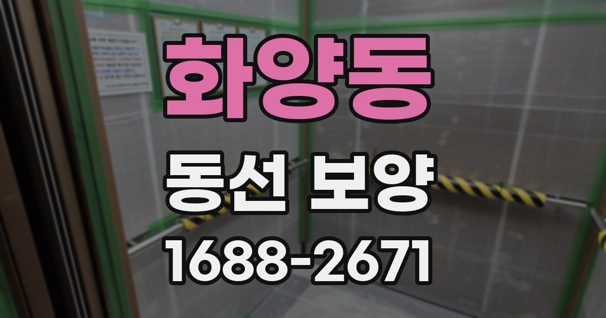 화양동 동선 보양