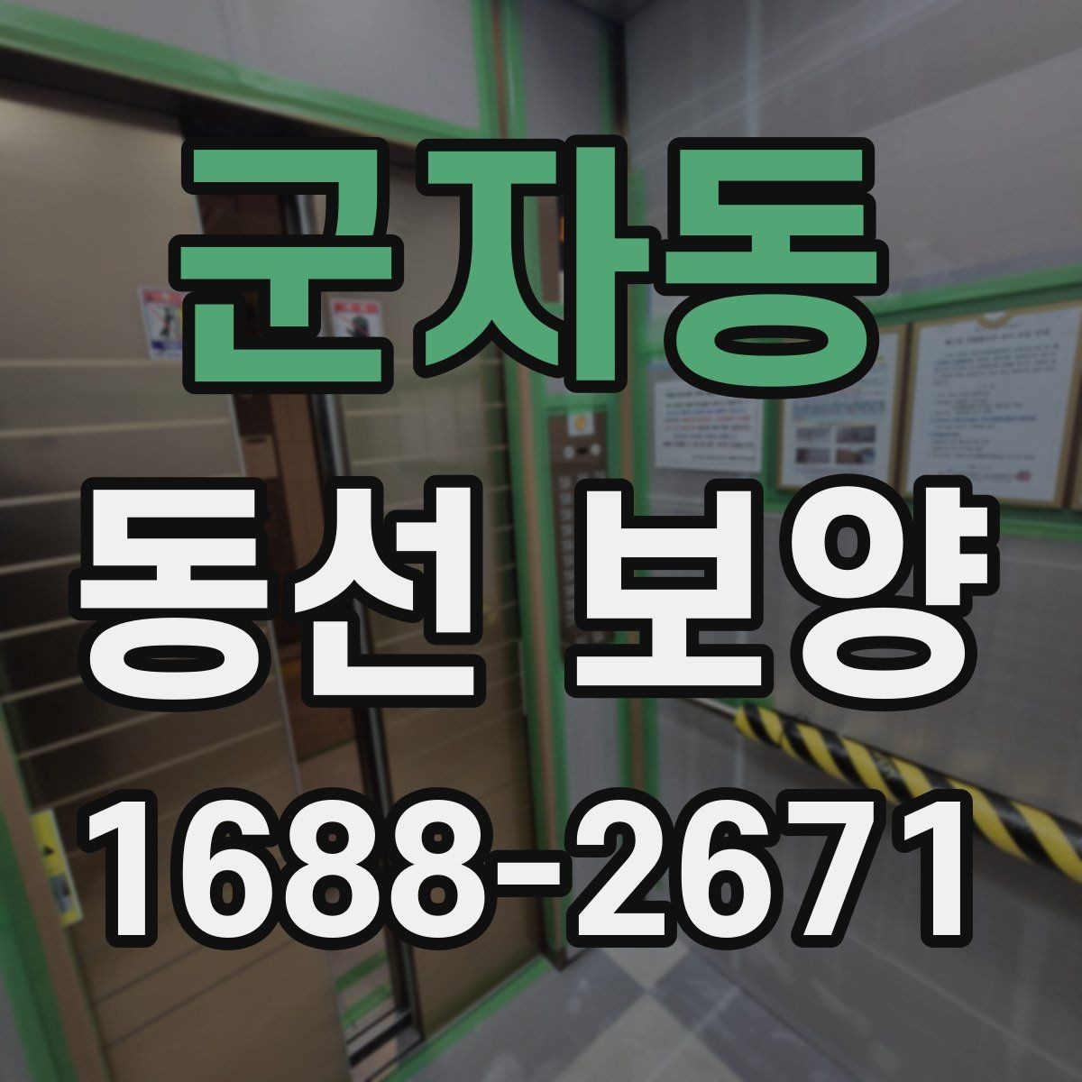 군자동 동선 보양 작업 전 체크해야 할 사항