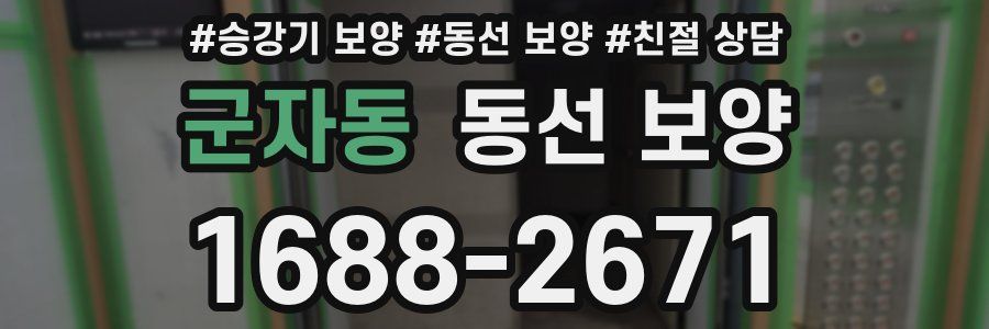 군자동 동선 보양