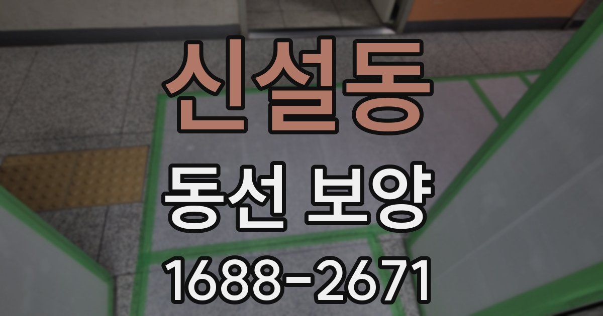 신설동 동선 보양