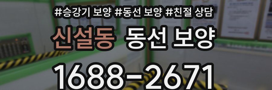 신설동 동선 보양