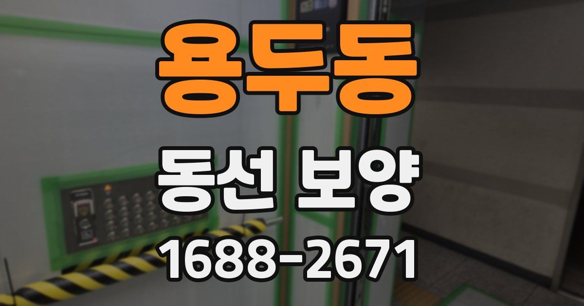 용두동 동선 보양