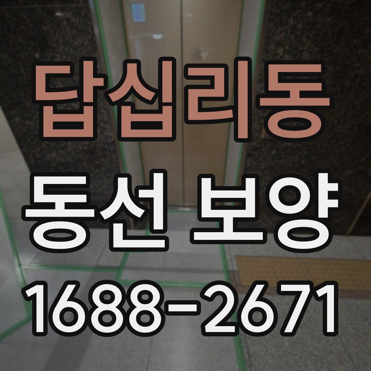 답십리동 동선 보양 자재별 활용처와 선택 팁