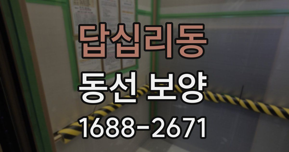 답십리동 동선 보양