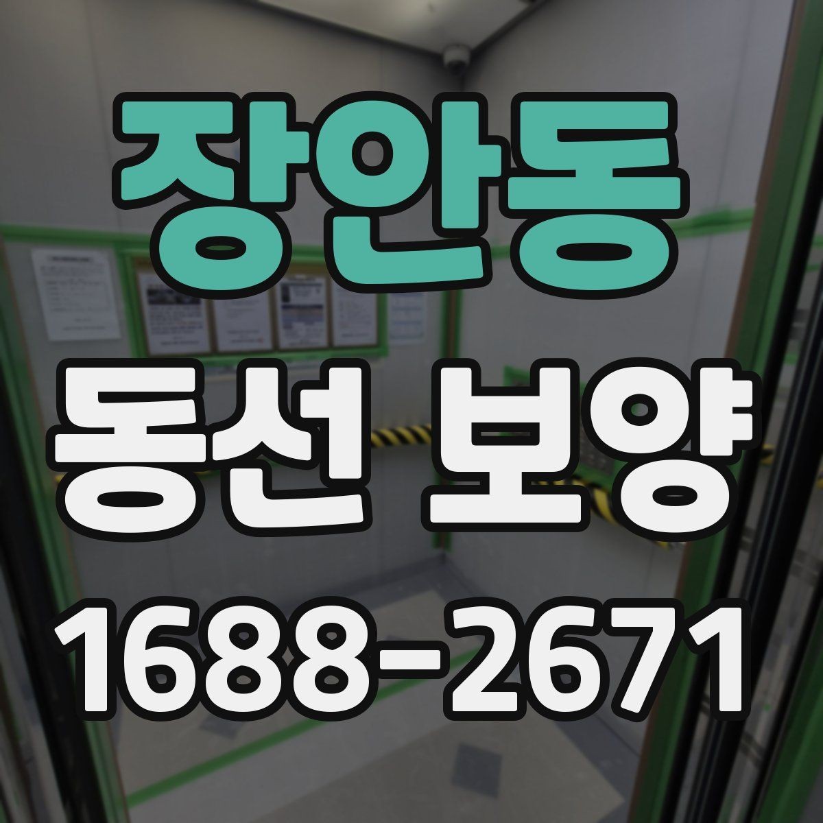 장안동 동선 보양 작업에서 품질 차이를 만드는 요인