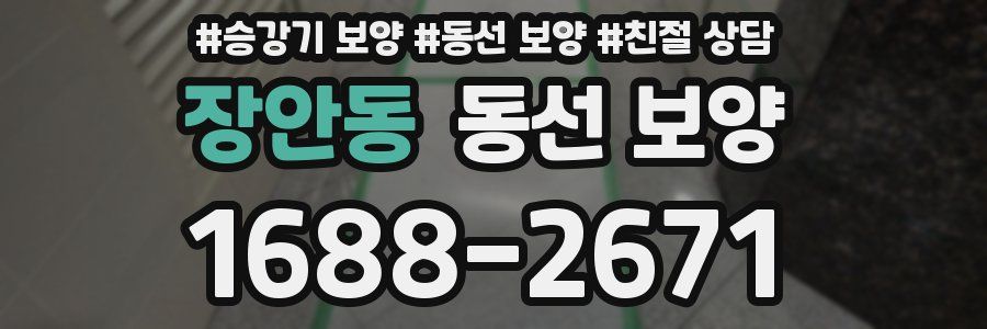 장안동 동선 보양