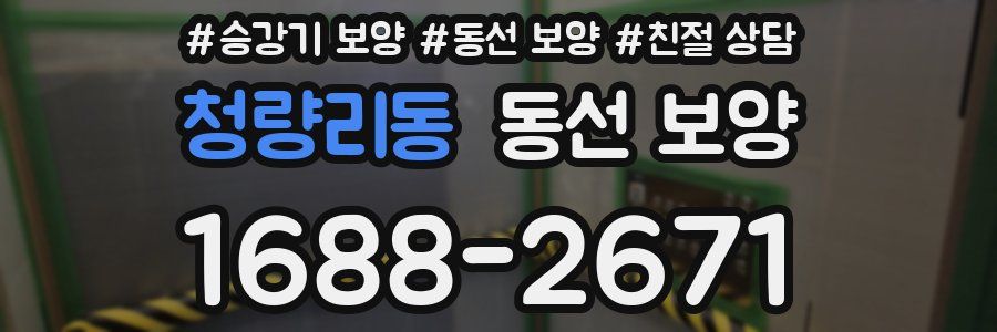 청량리동 동선 보양
