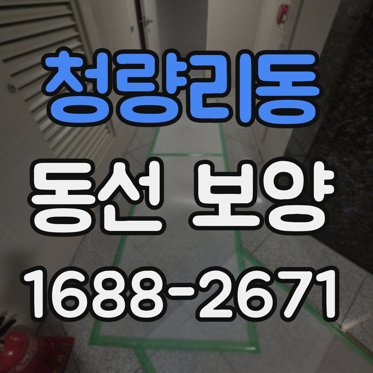 청량리동 동선 보양
