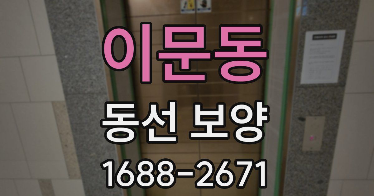 이문동 동선 보양