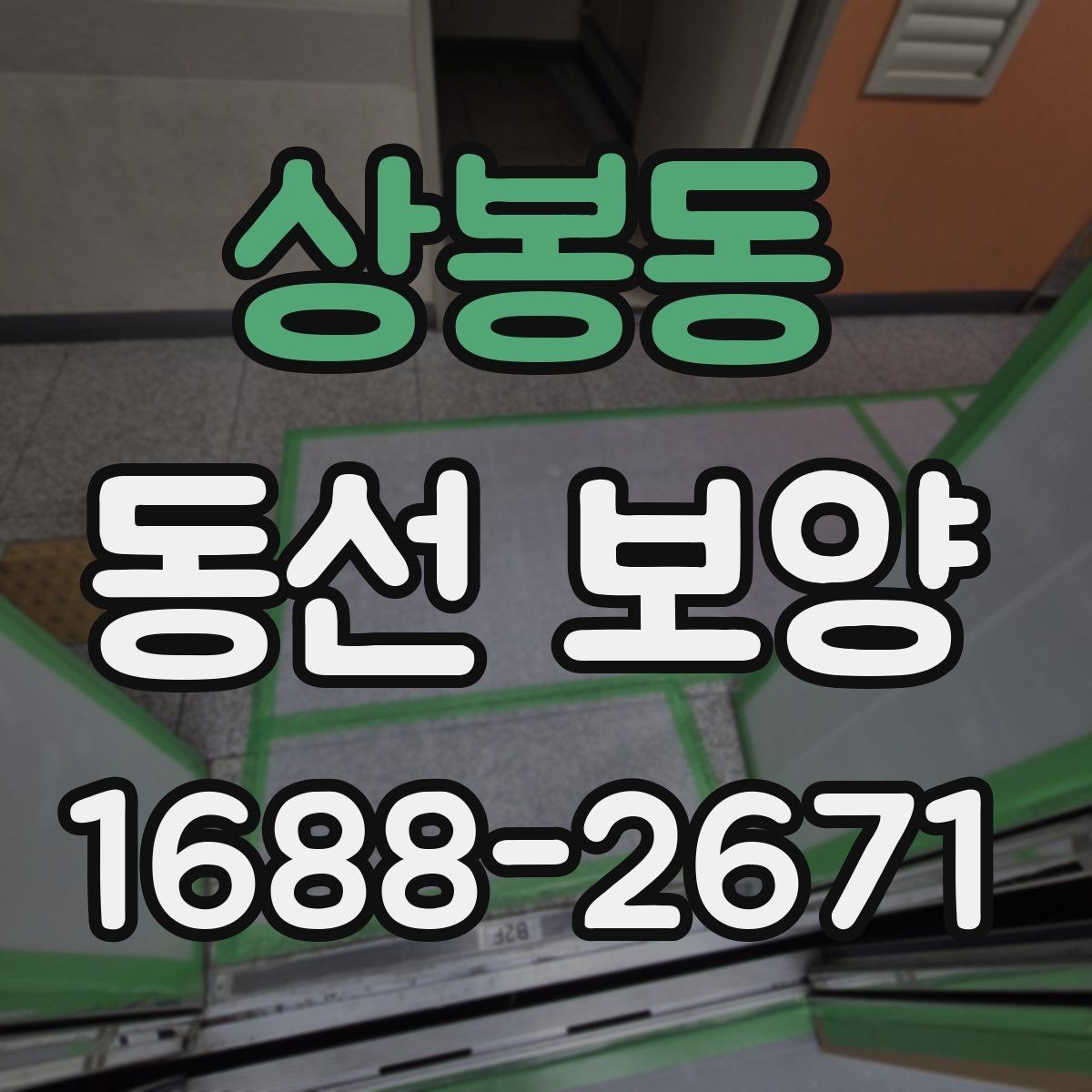 상봉동 동선 보양 작업 시 현장 상황에 따라 달라지는 대응