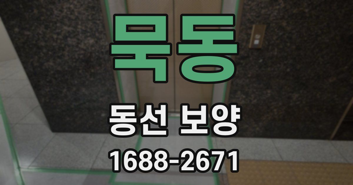 묵동 동선 보양