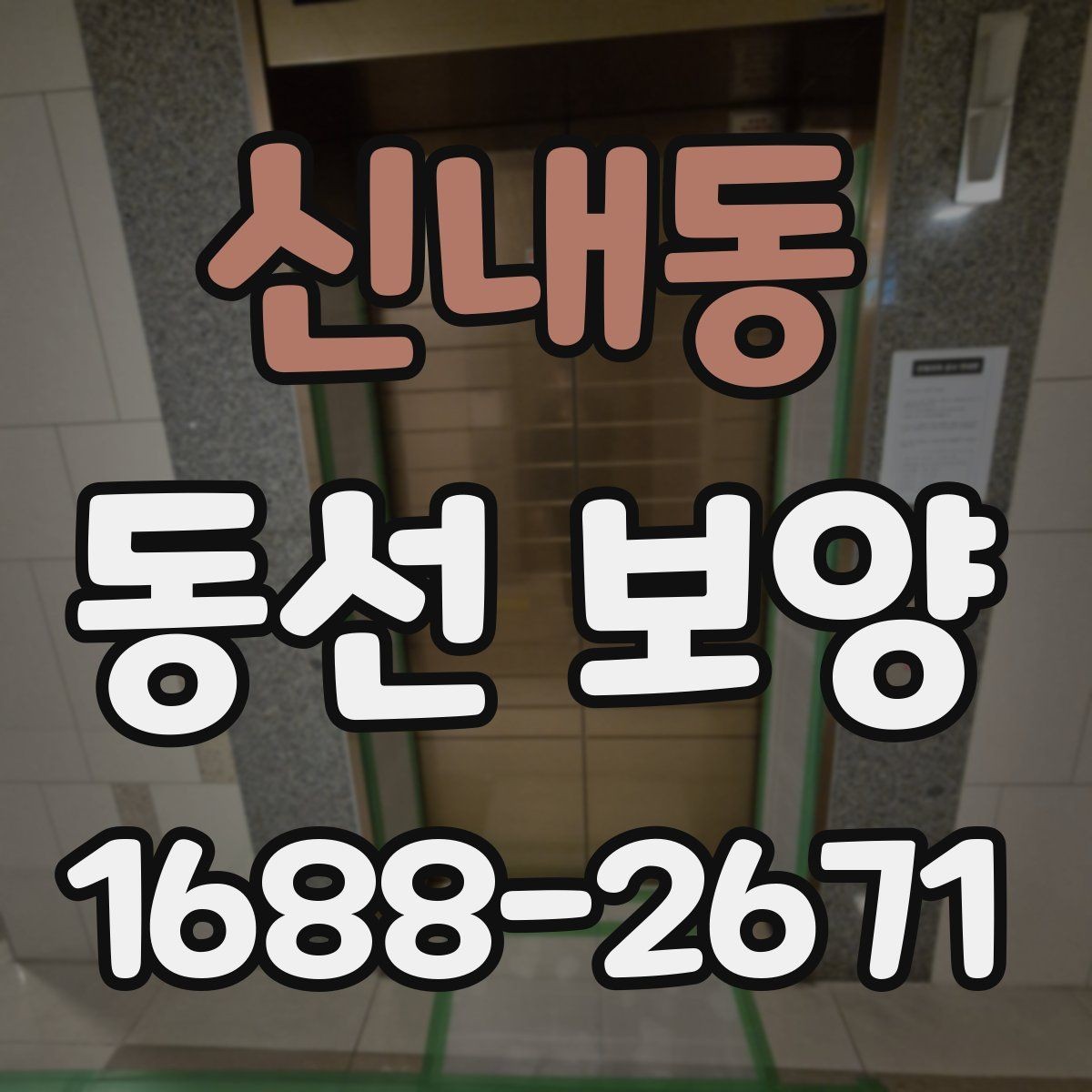 신내동 동선 보양 후 유지 관리를 고려한 선택