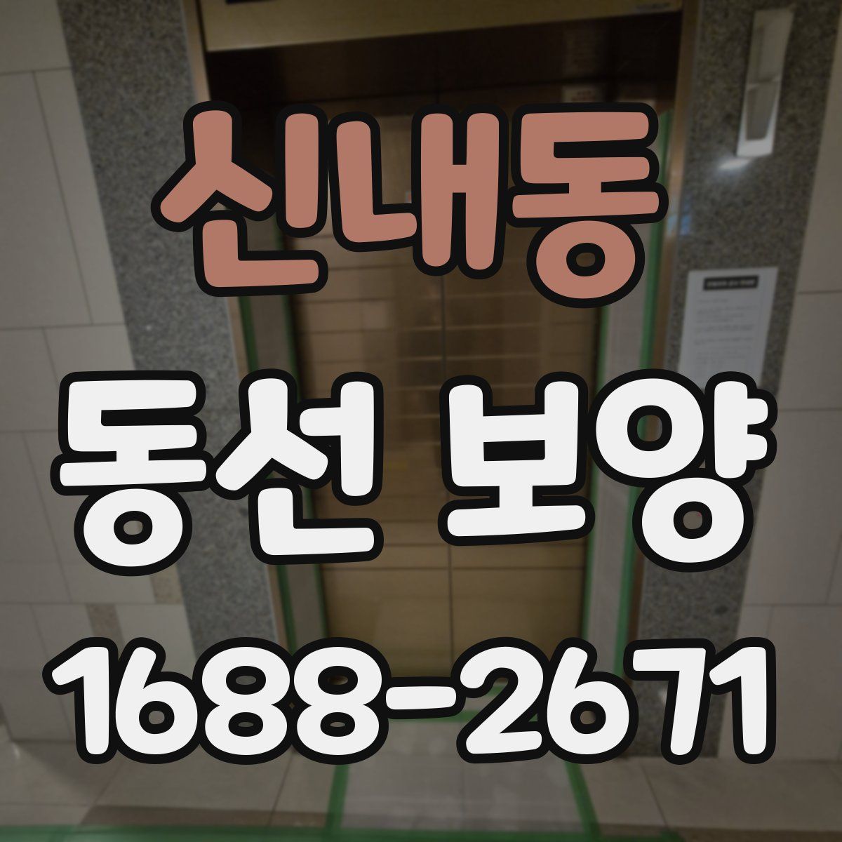 신내동 동선 보양