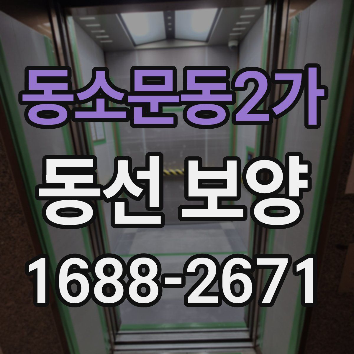 동소문동2가 동선 보양