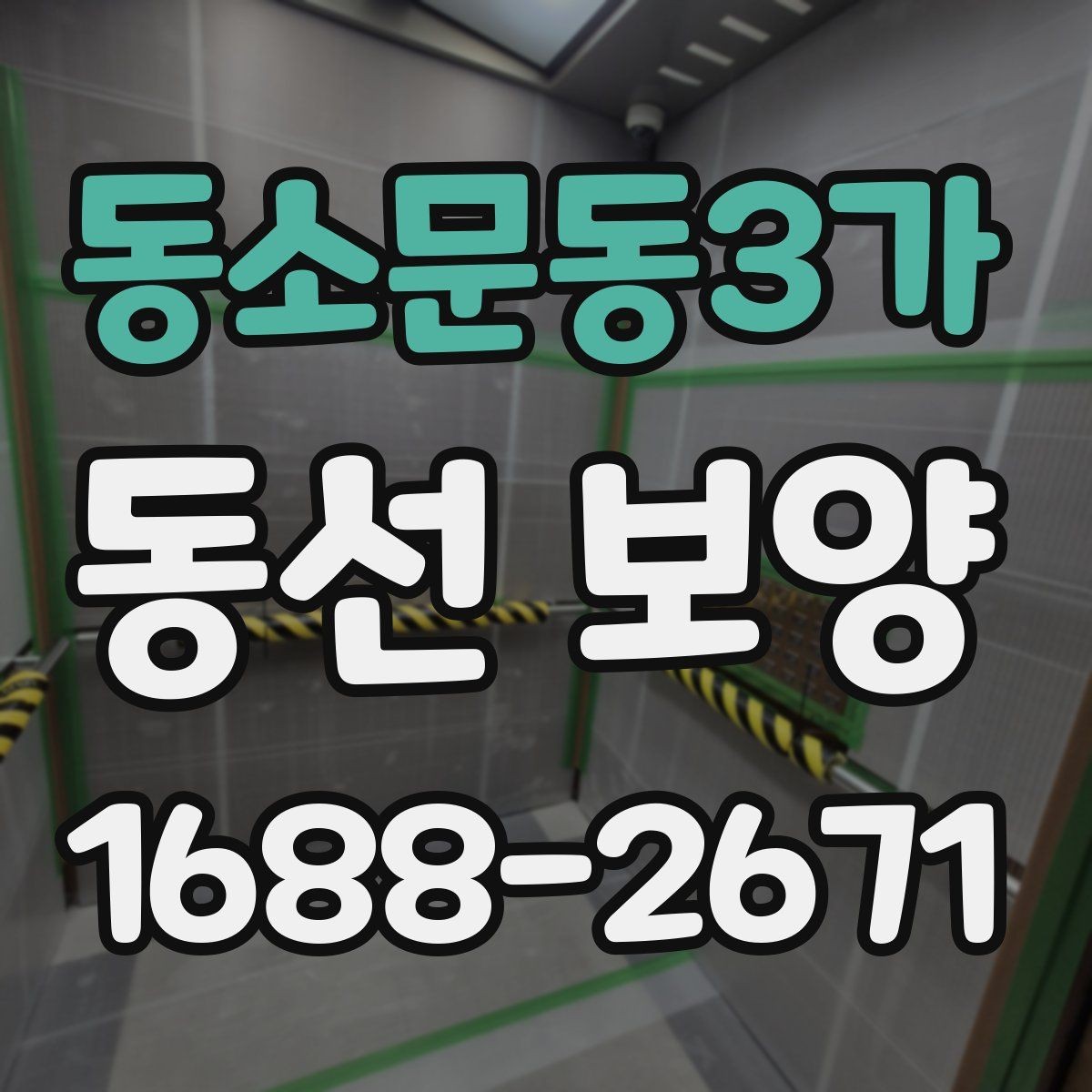 동소문동3가 동선 보양 비용과 범위가 달라지는 상황