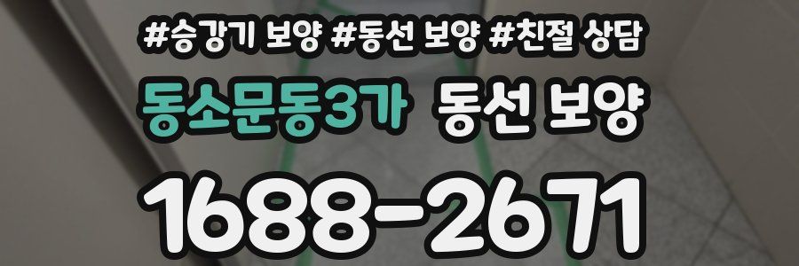 동소문동3가 동선 보양
