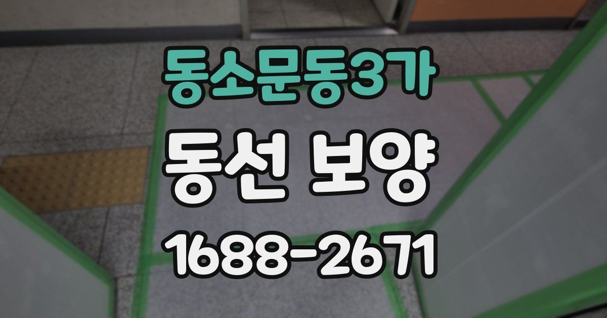 동소문동3가 동선 보양