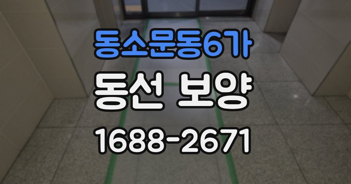 동소문동6가 동선 보양