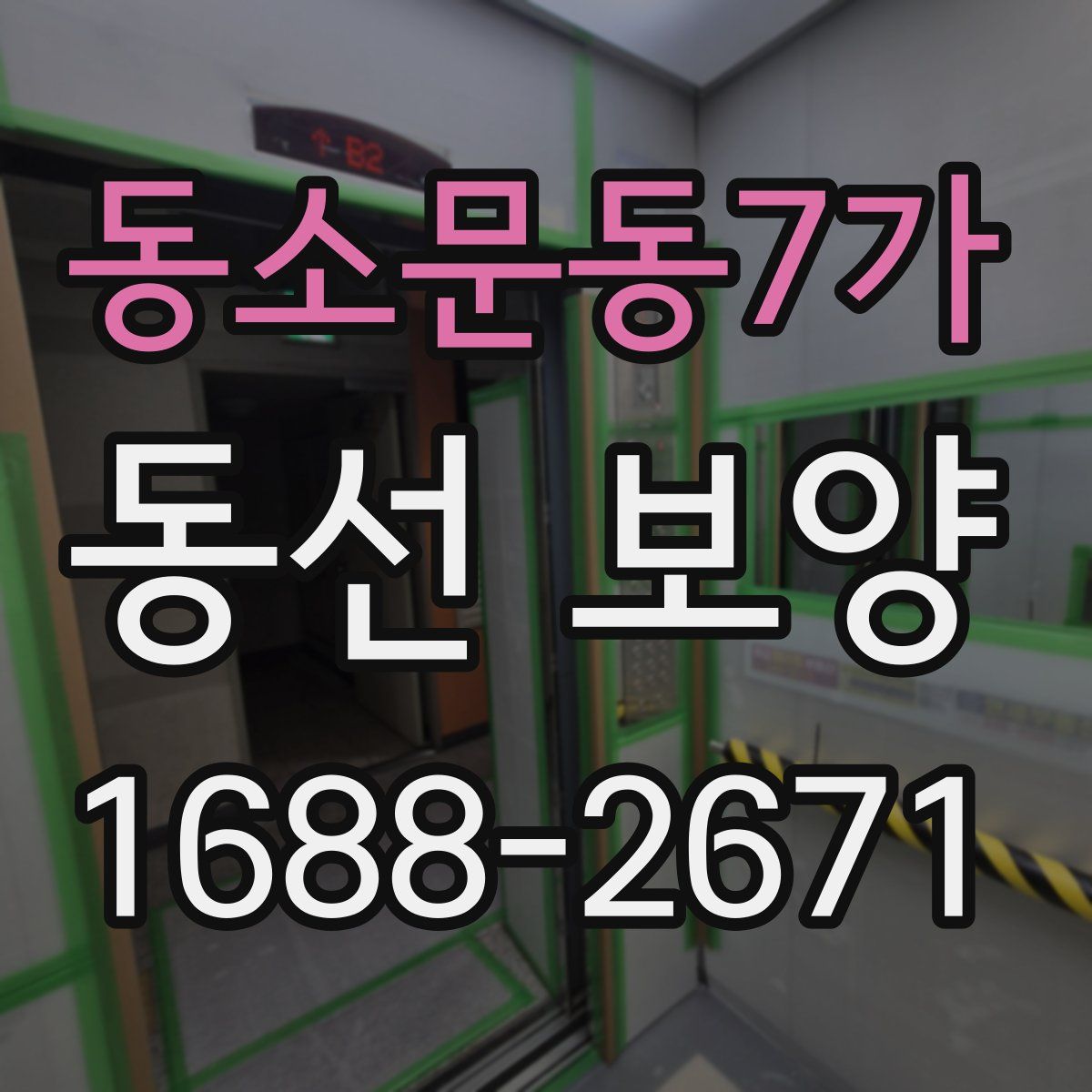 동소문동7가 동선 보양