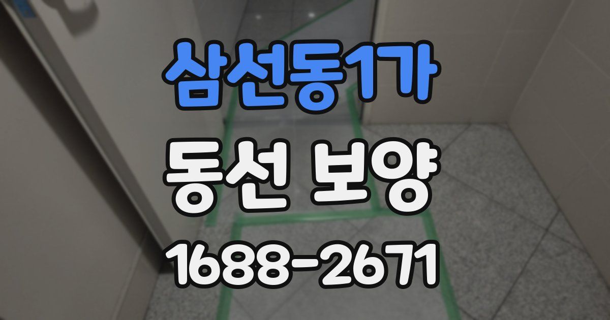 삼선동1가 동선 보양