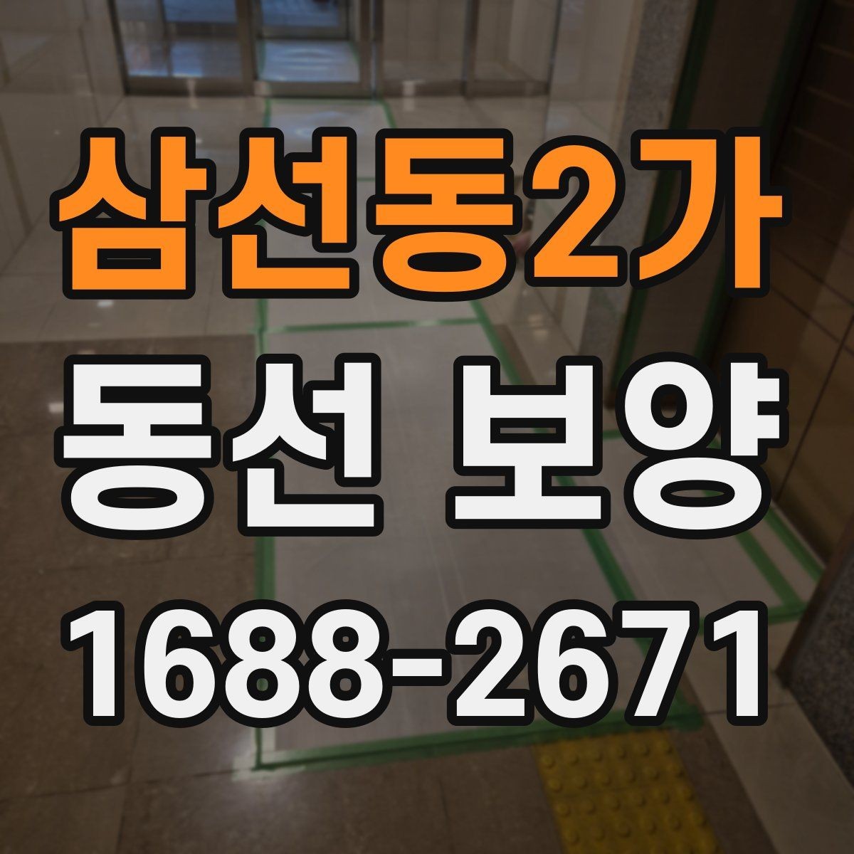 삼선동2가 동선 보양 견적 비교할 때 살펴볼 포인트