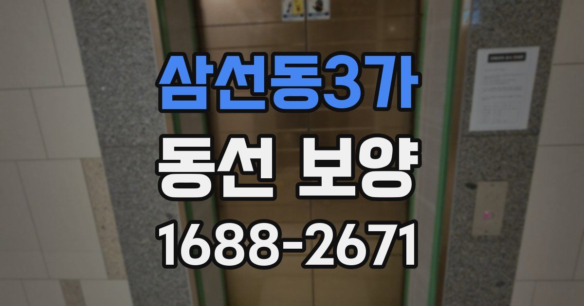 삼선동3가 동선 보양
