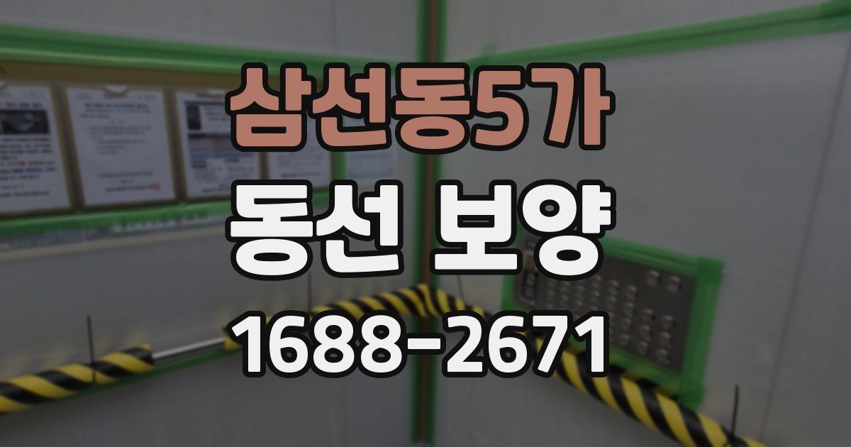 삼선동5가 동선 보양