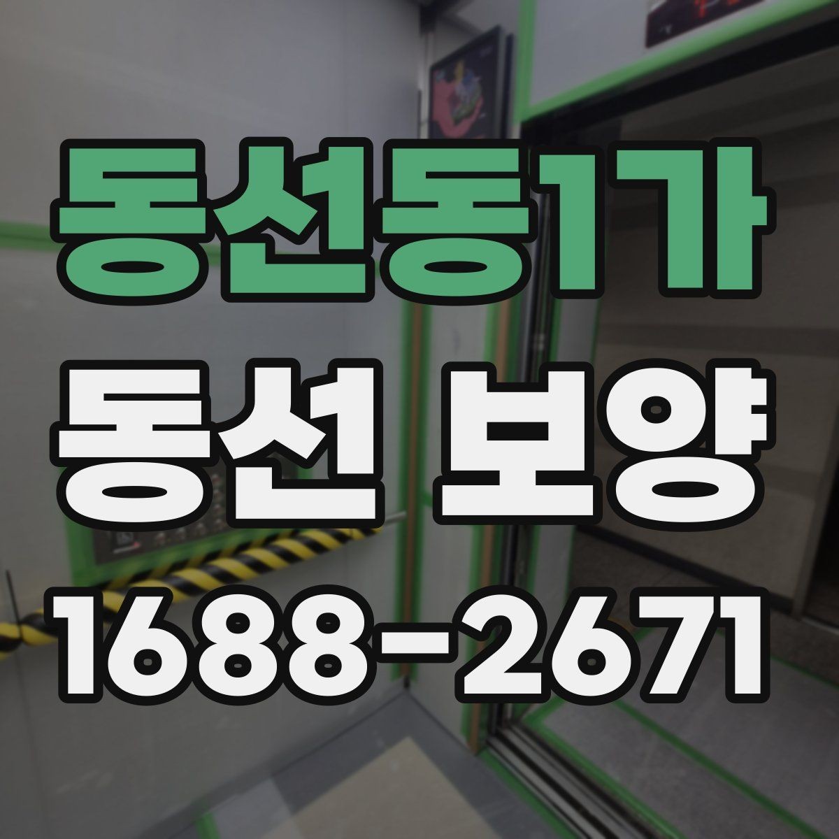 동선동1가 동선 보양 후 마감 상태 점검 포인트