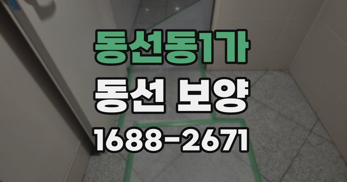 동선동1가 동선 보양