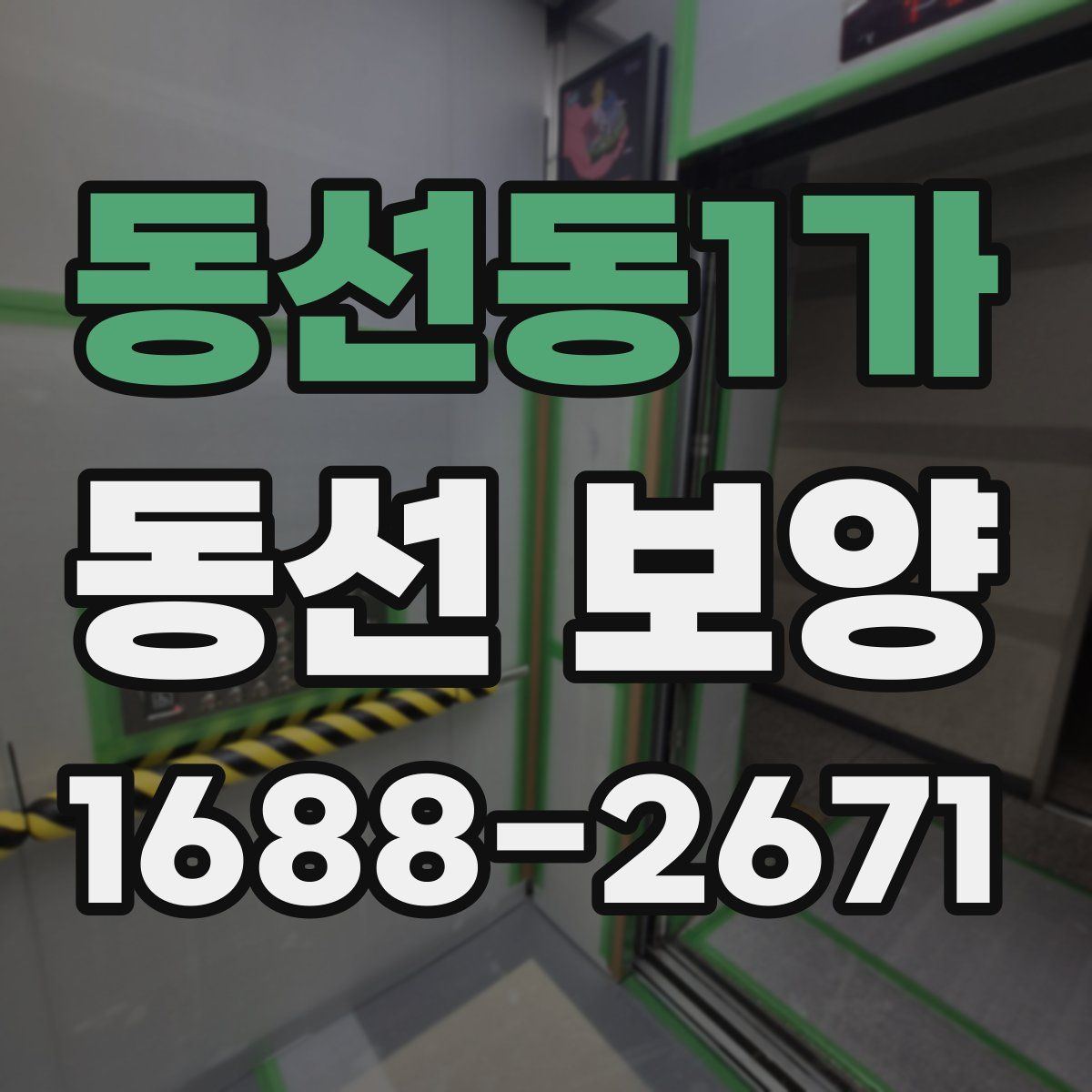 동선동1가 동선 보양