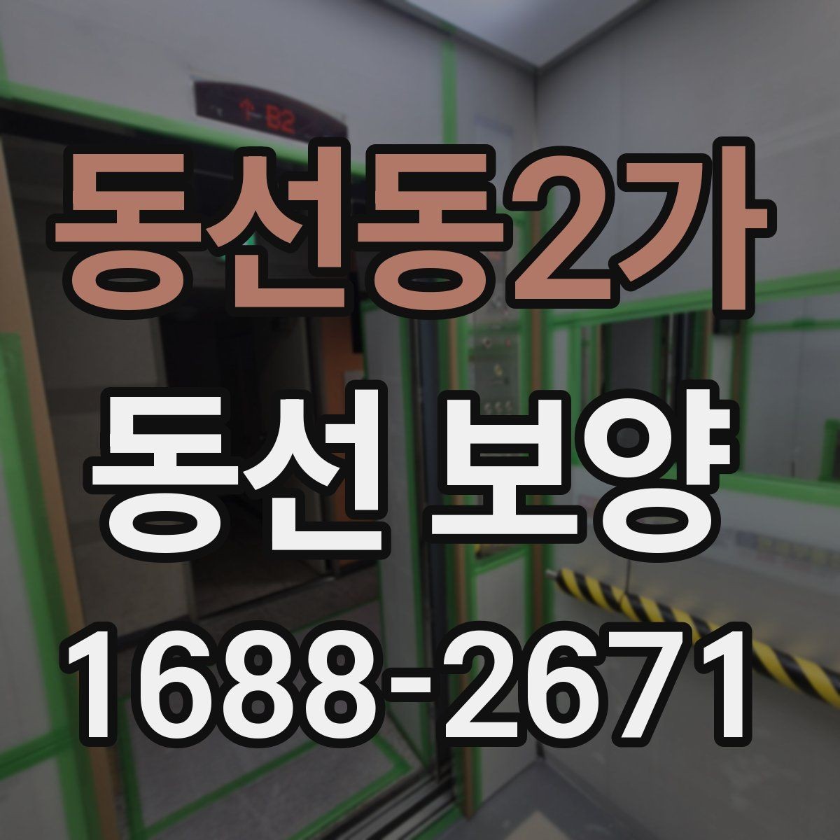 동선동2가 동선 보양 작업의 완성도를 높이는 관리법