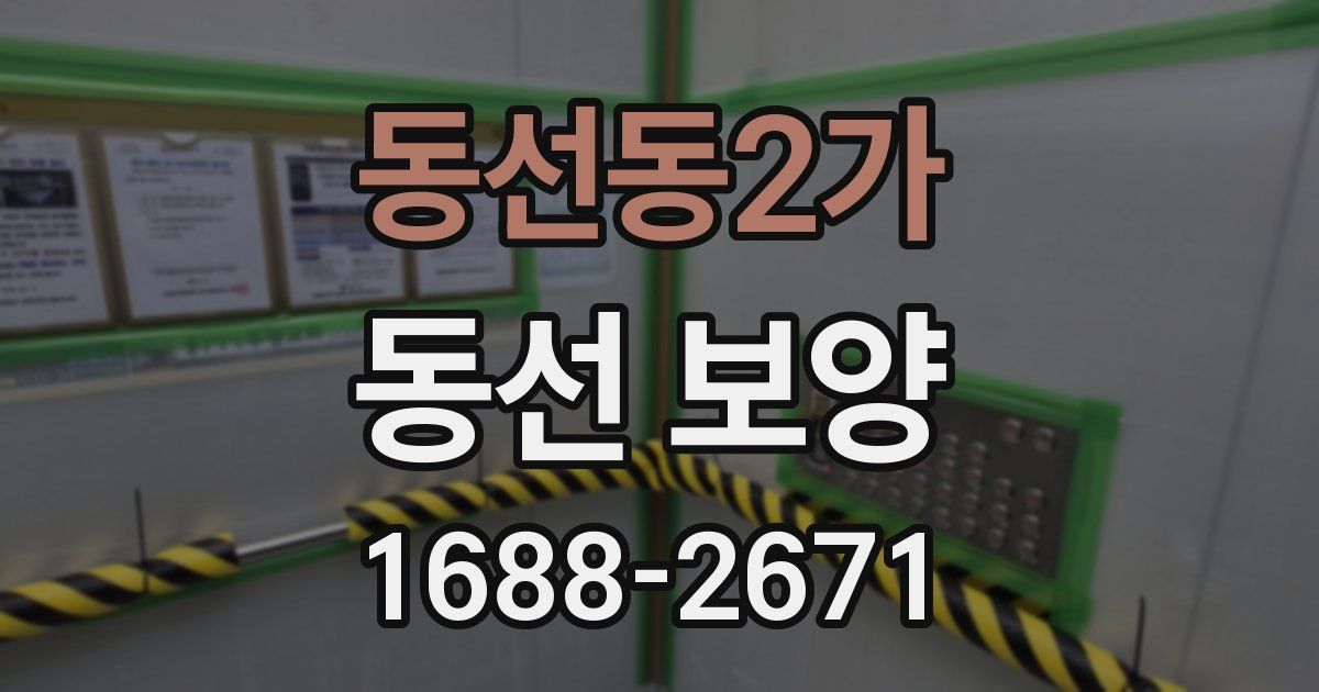 동선동2가 동선 보양