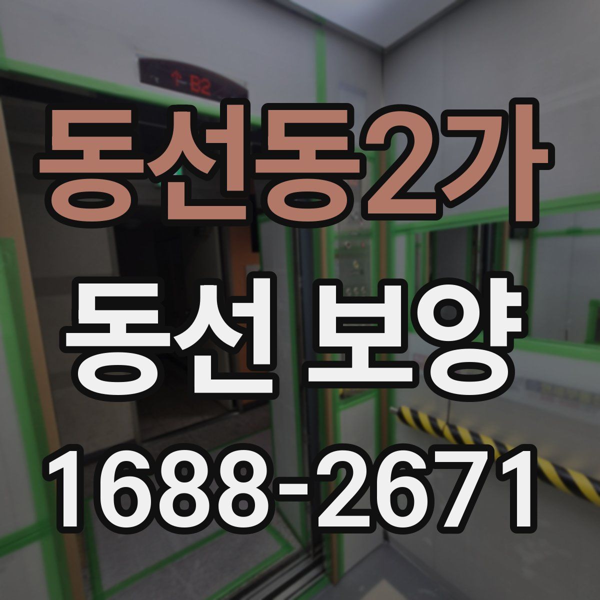 동선동2가 동선 보양
