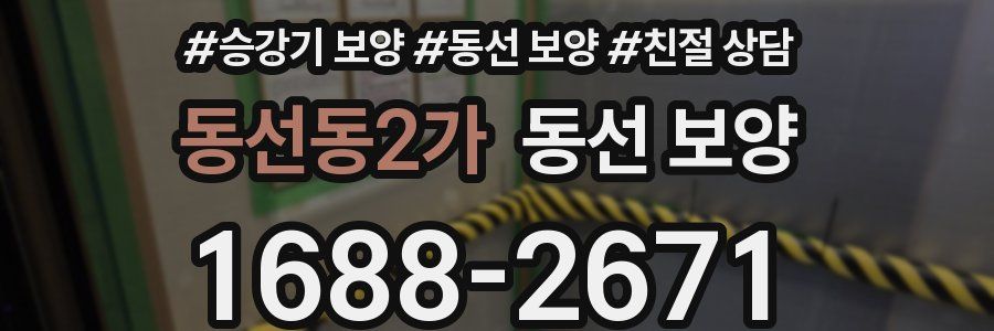 동선동2가 동선 보양