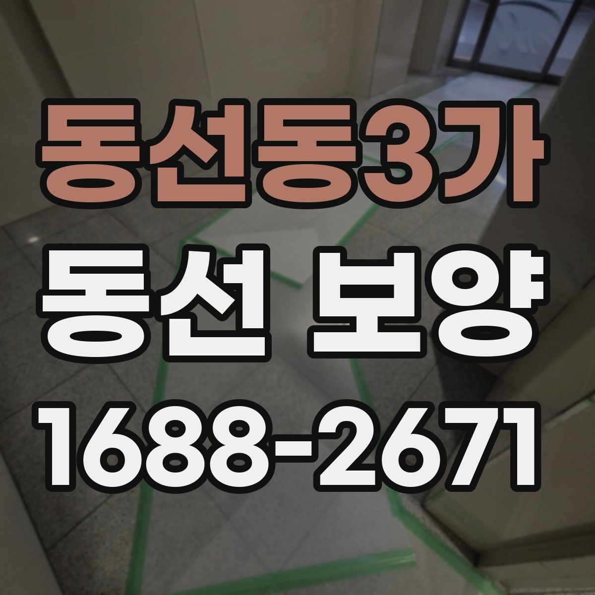 동선동3가 동선 보양 비용은 무엇에 따라 달라질까