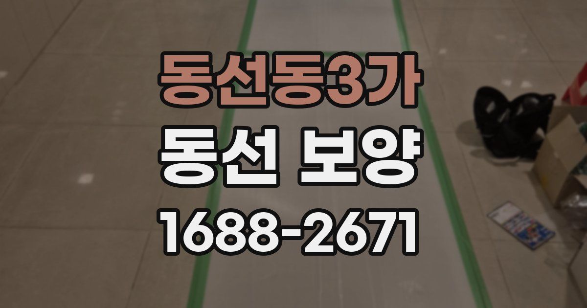 동선동3가 동선 보양