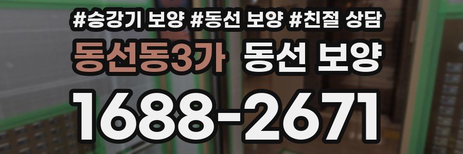 동선동3가 동선 보양