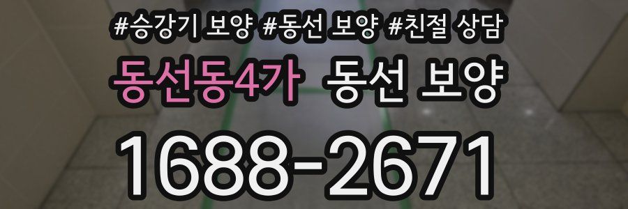 동선동4가 동선 보양