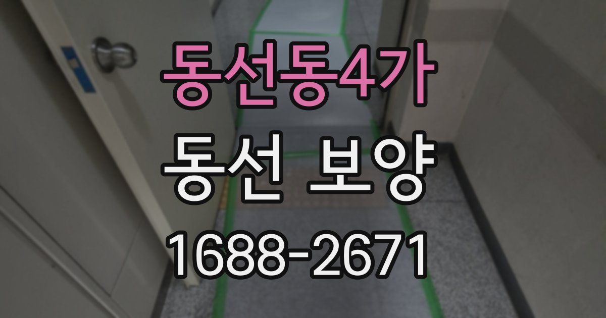 동선동4가 동선 보양