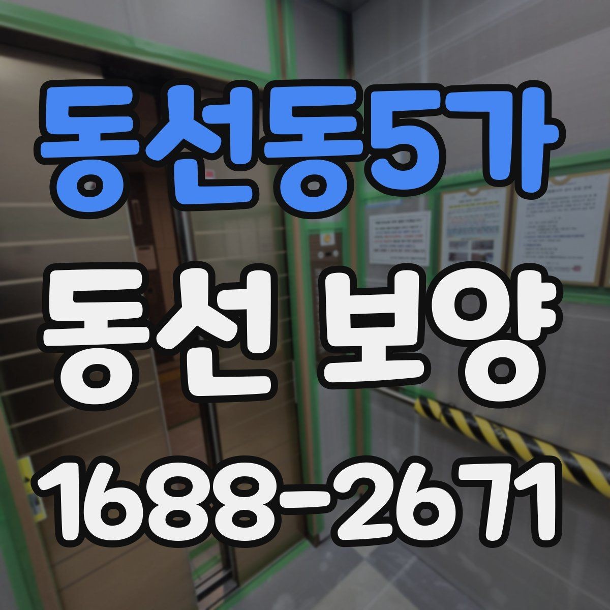 동선동5가 동선 보양 선택 전 확인하면 좋은 기준