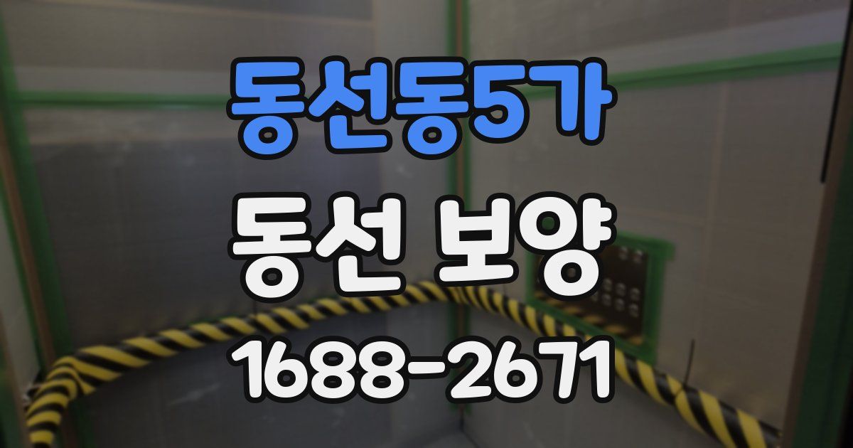 동선동5가 동선 보양