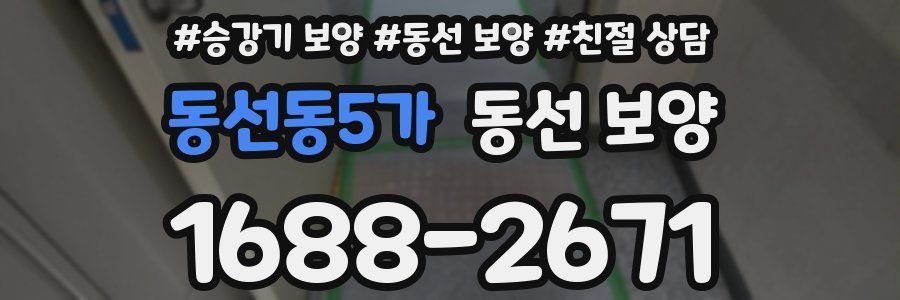 동선동5가 동선 보양