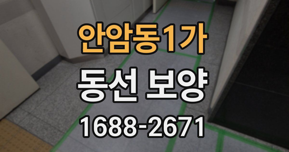 안암동1가 동선 보양